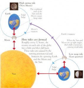 The tides explained